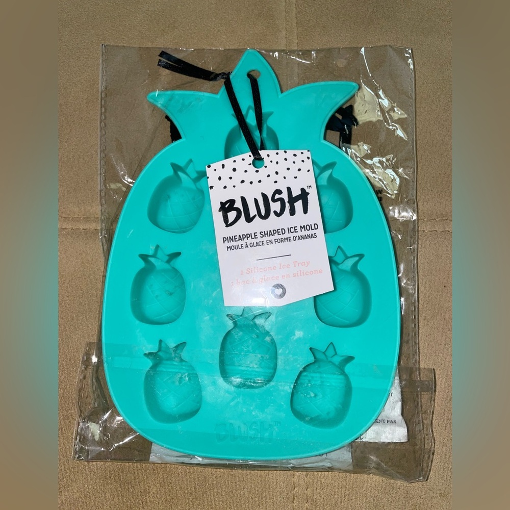Blush Teal Pineapple Ice Mold